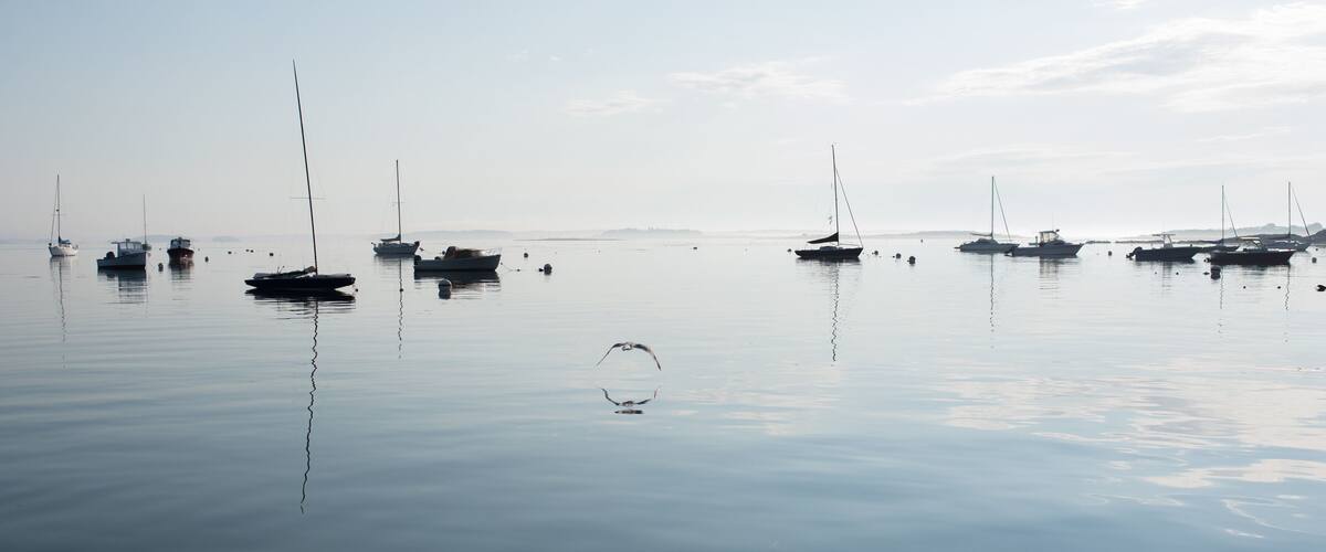 Early morning harbor in Maine