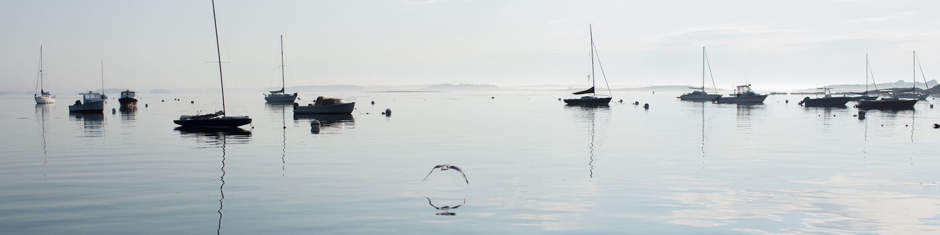 Early morning harbor in Maine