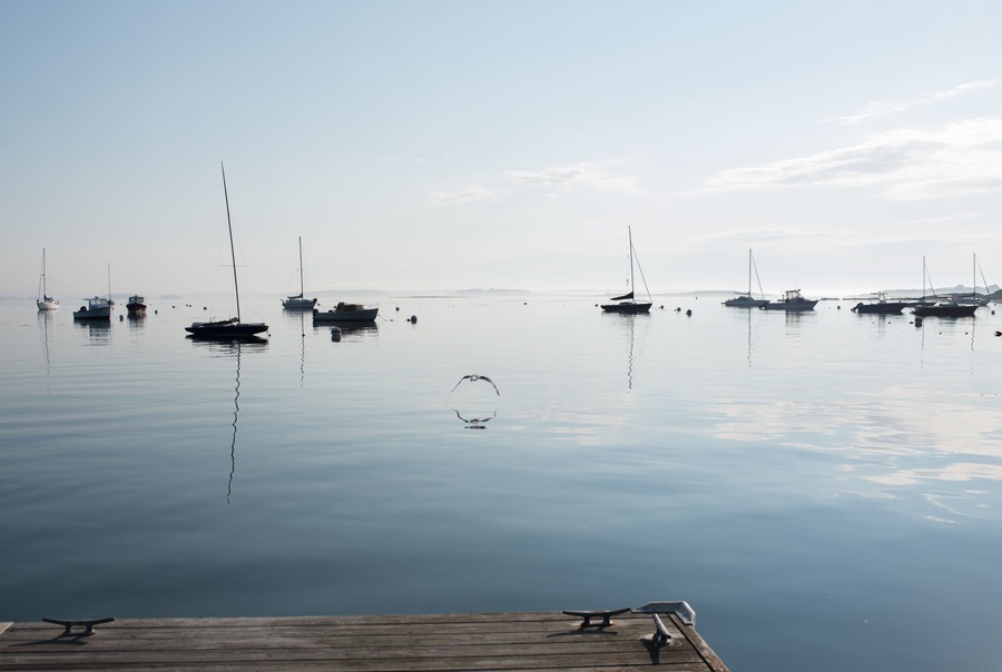 Early morning harbor in Maine