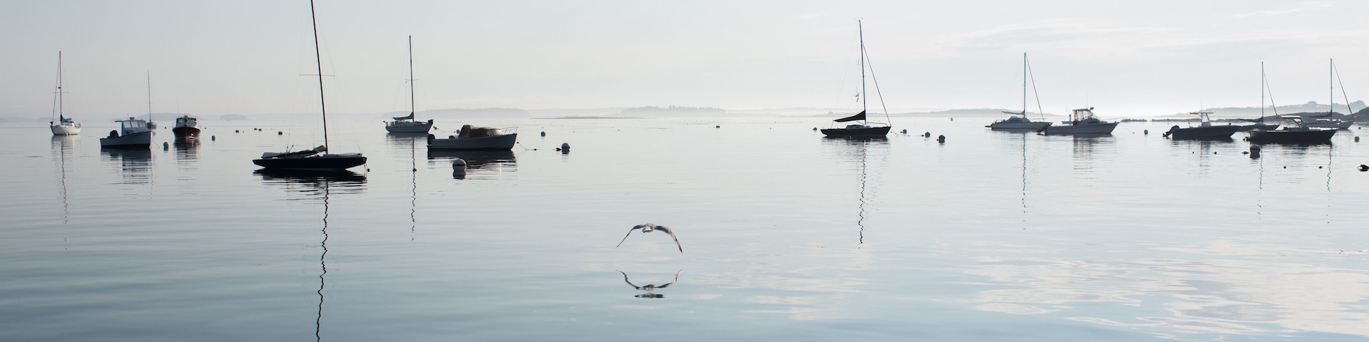 Early morning harbor in Maine