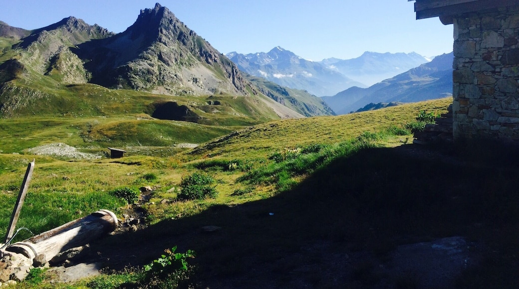 Mont Thabor.
What else?