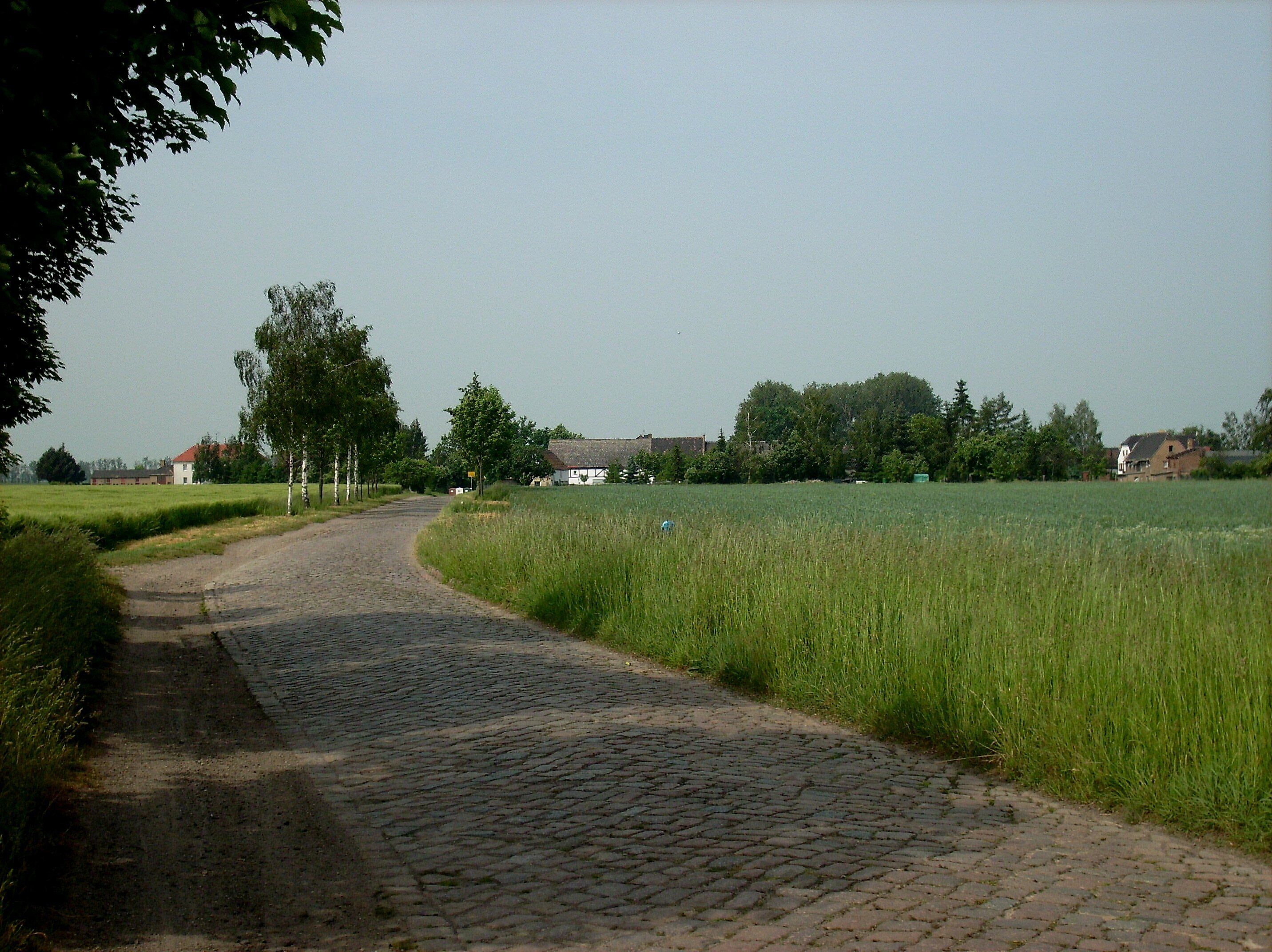 Cobbled road near Meyhen (Markranstädt, Leipzig district, Saxony) in 2008, before the modern "improvement"