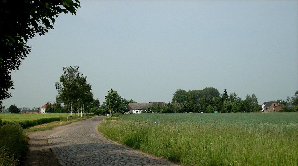 Cobbled road near Meyhen (Markranstädt, Leipzig district, Saxony) in 2008, before the modern "improvement"