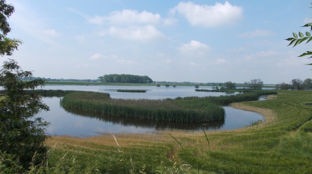 New lake near Gärnitz (Markranstädt, Leipzig district, Saxony)