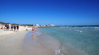 Una playa con agua azul cristalina, orilla arenosa y algunas personas caminando por la orilla.