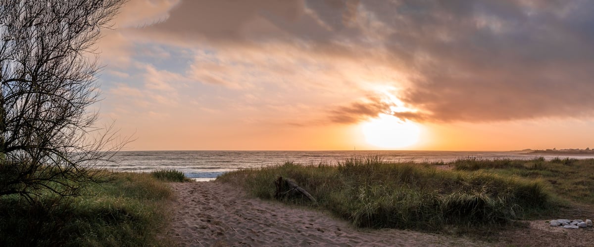A beach with a path leading to the water, surrounded by grass and trees.