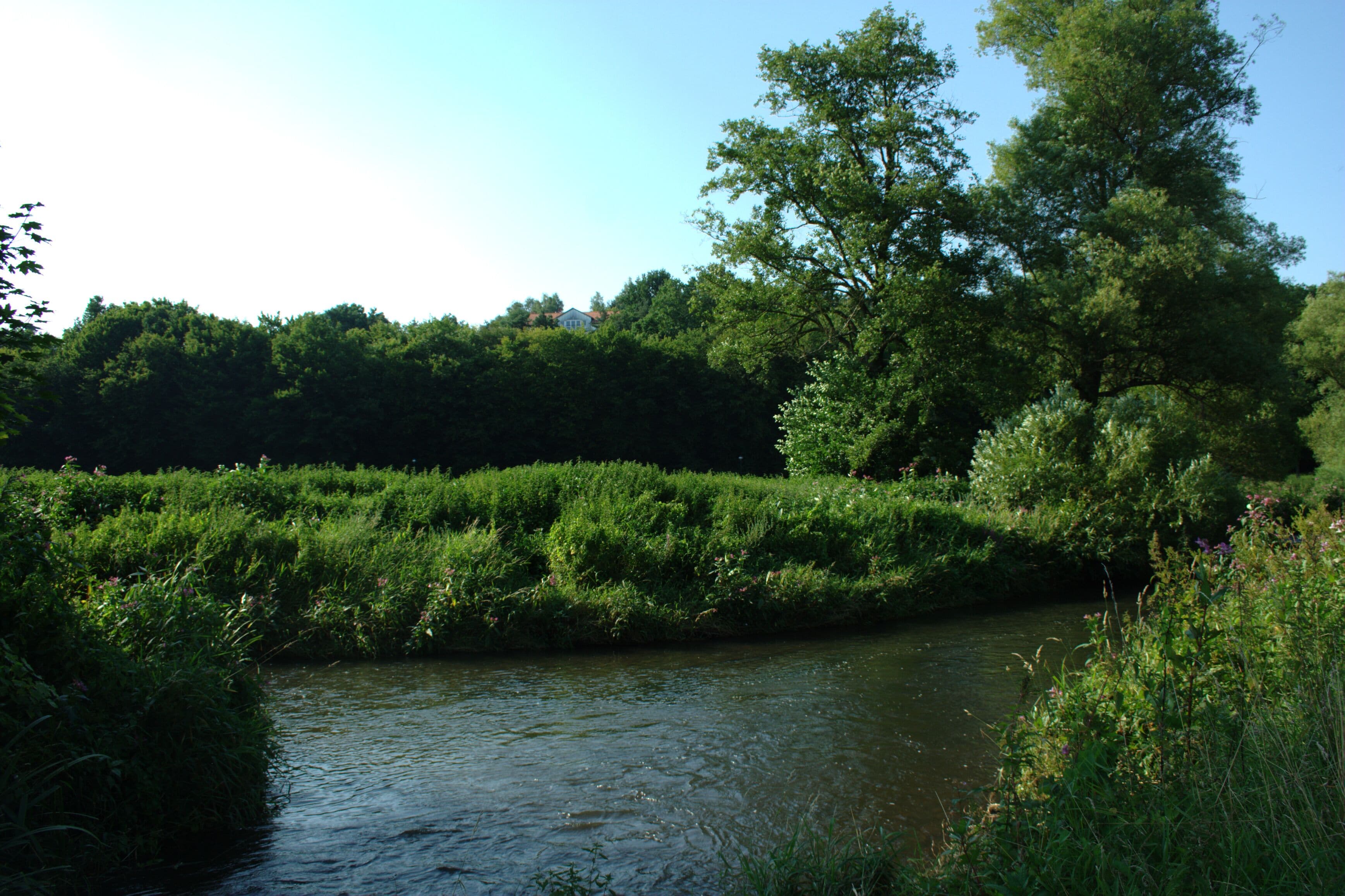 Confluence of the Altefeld (front) and Lauter Rivers (left) in Bad Salzschlirf creating the Schlitz River (right)