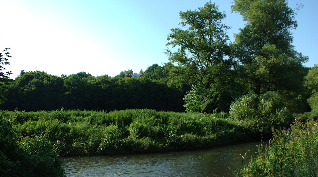 Confluence of the Altefeld (front) and Lauter Rivers (left) in Bad Salzschlirf creating the Schlitz River (right)