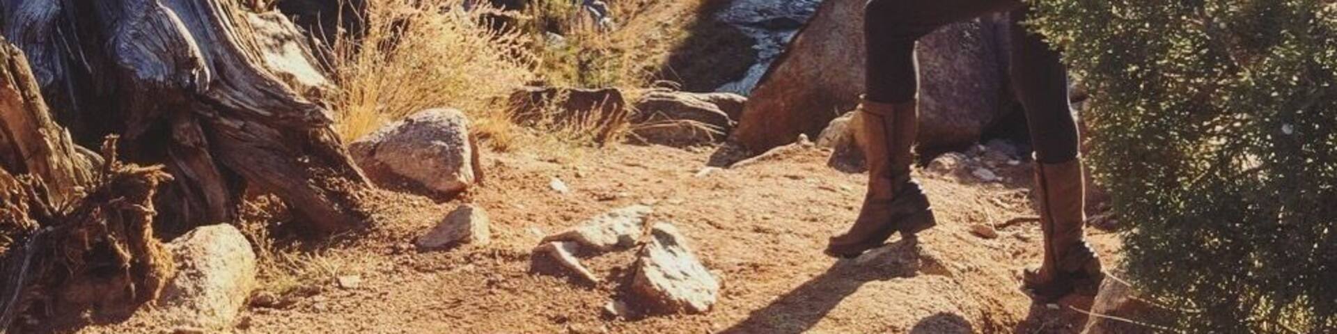 Escalante Canyon Potholes