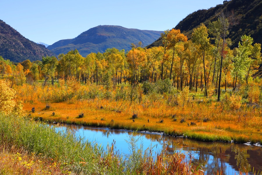 A river surrounded by autumn-colored trees and hills in the background.