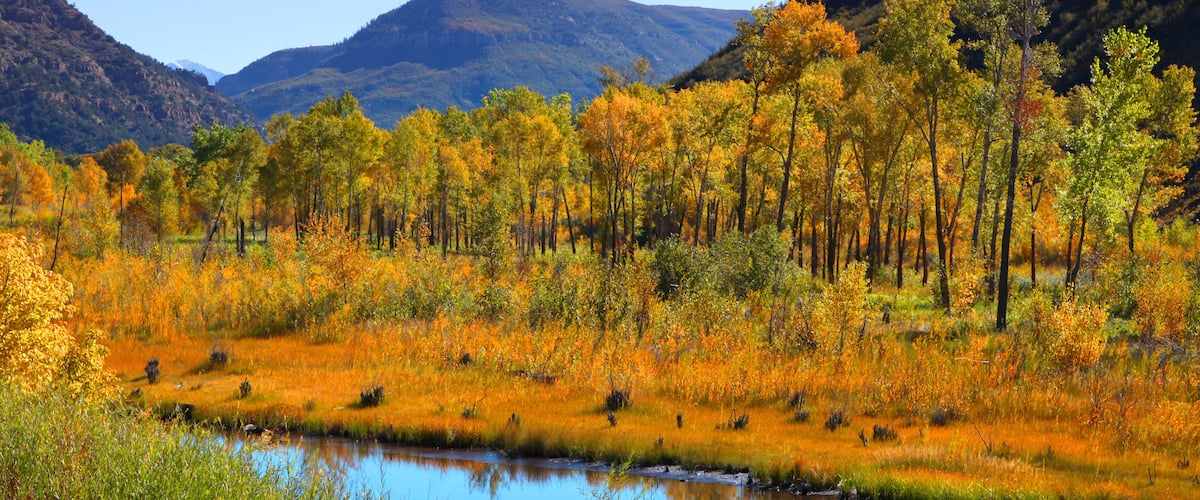 A river surrounded by autumn-colored trees and hills in the background.