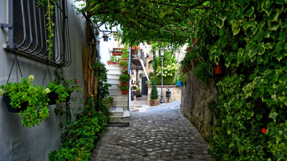 A cobblestone alley with lush greenery, potted plants, and a staircase leading to a building.