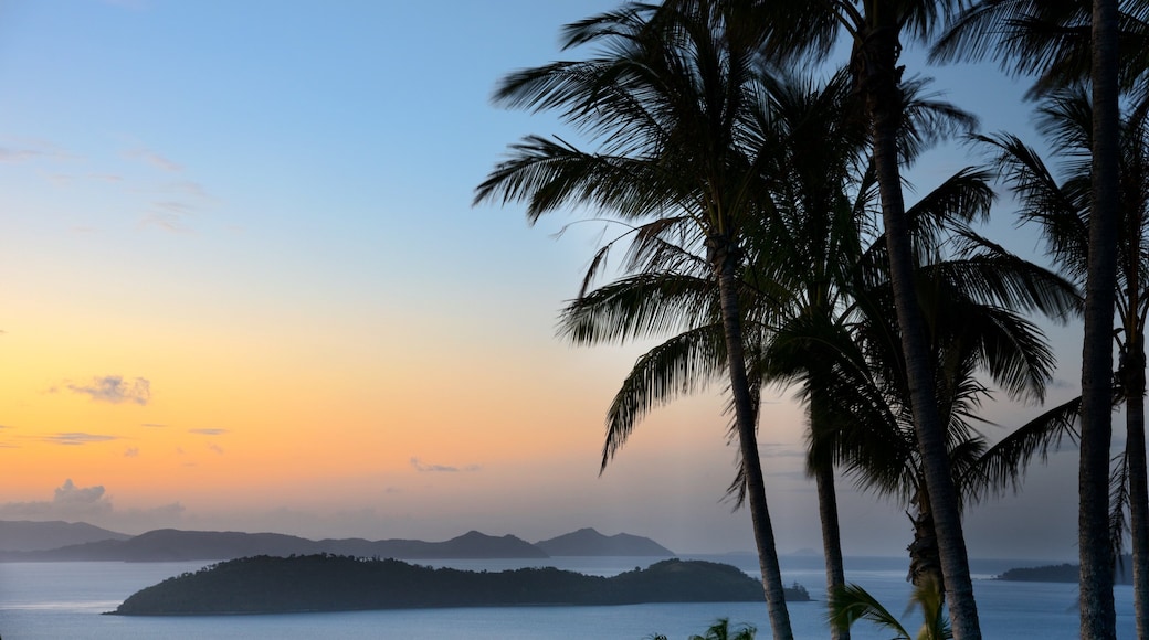 Hamilton Island som viser kyst og solnedgang