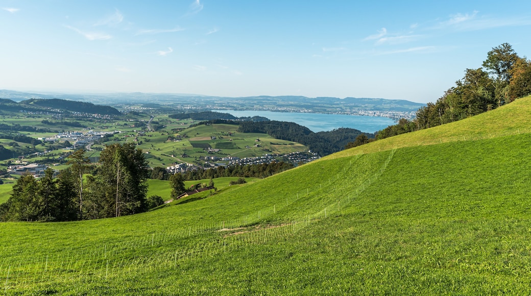 Landscape near Kuessnacht with view to Lake Zug (Zugersee), Canton of Schwyz, Switzerland