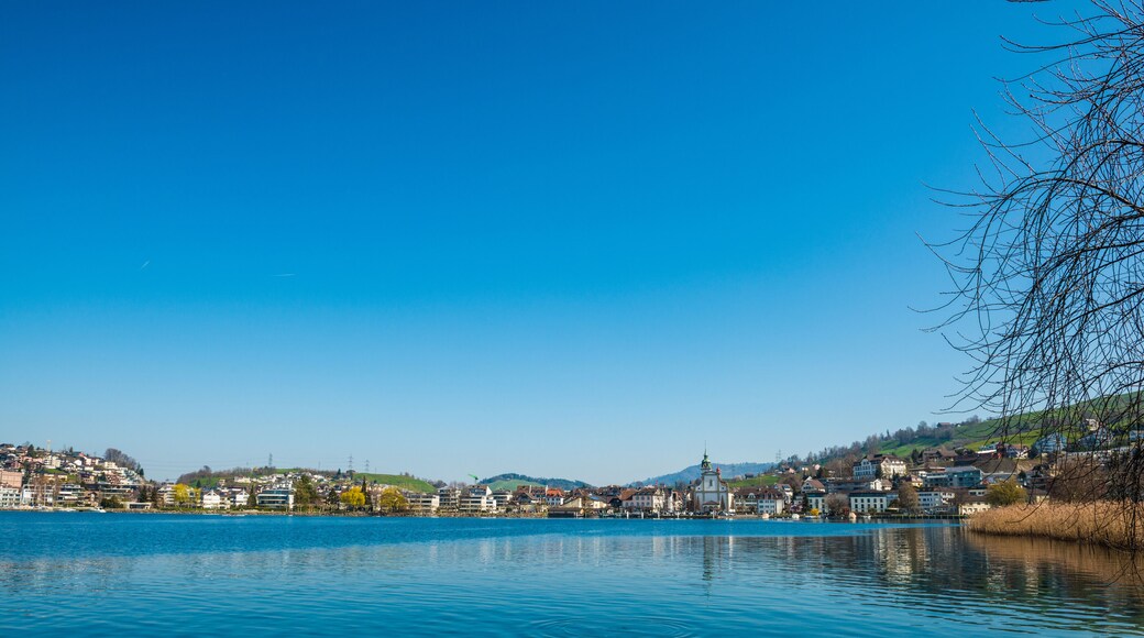 Lake of Lucerne. Kuessnacht am Rigi. Switzerland
