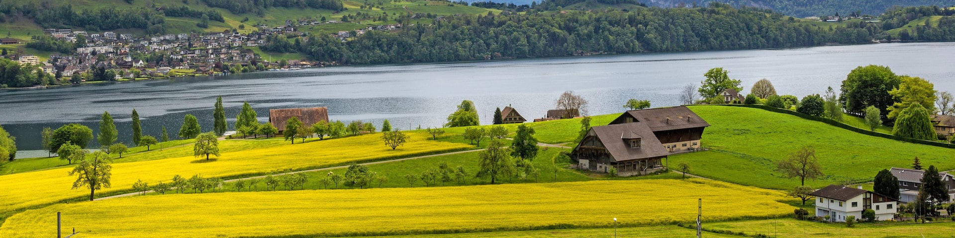 Spring landscape on the sides of Lake Lucerne with farming fields on the foreground and forest and snow-covered Rigi mountain at the background