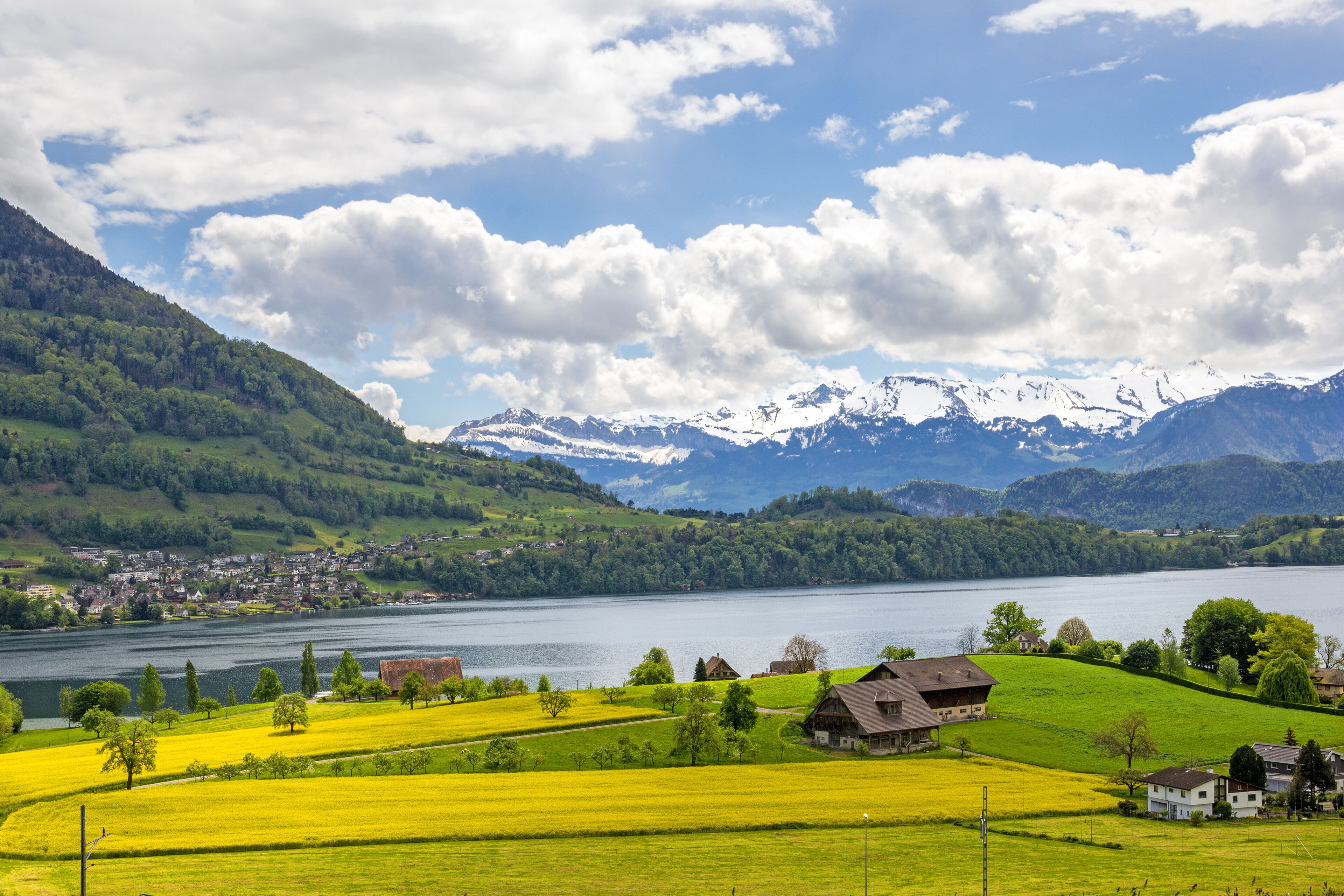 A mountainous landscape with a lake, green fields, and snow-capped peaks.