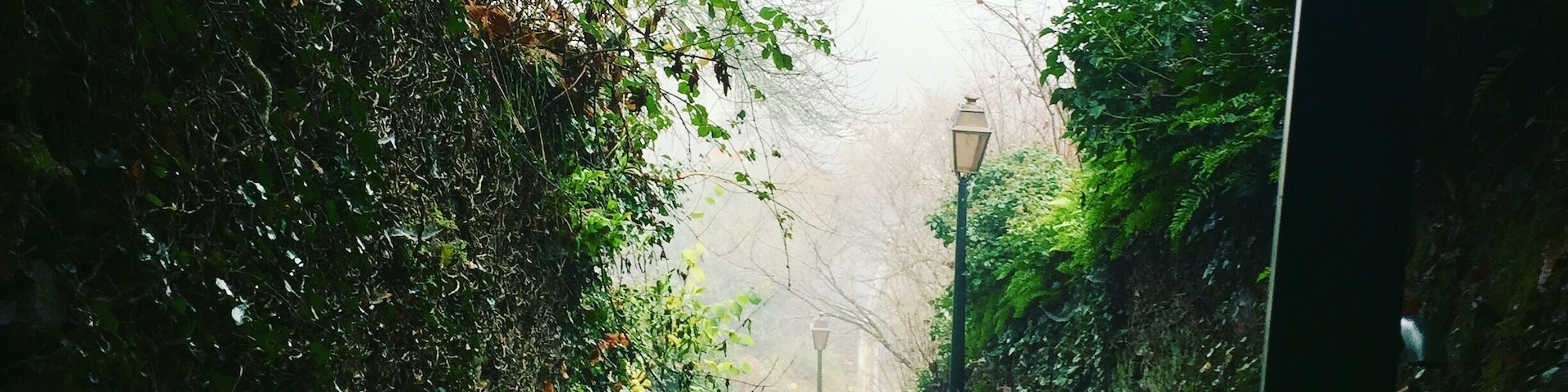 When sun goes down and Christmas lights come up... famous town in the area knew for its Christmas lights, its castle and medieval center. But what I prefer in this town is the hidden streets and stairs in misty time... magical!