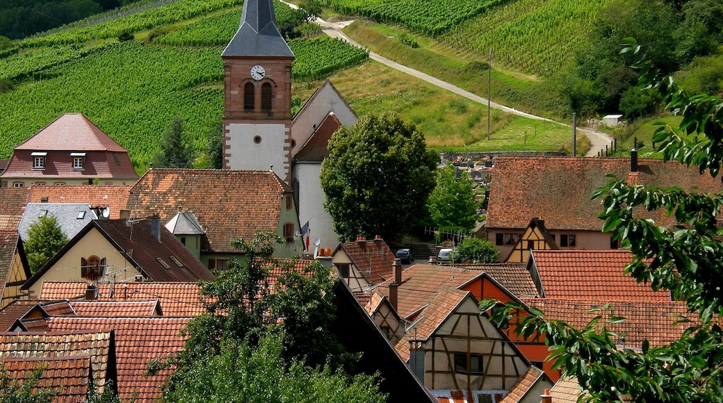 Albé, petit village viticole réputé pour son Pinot Noir. Albé, small wine village renowned for its Black Pinot. Bas-Rhin, Alsace, France.