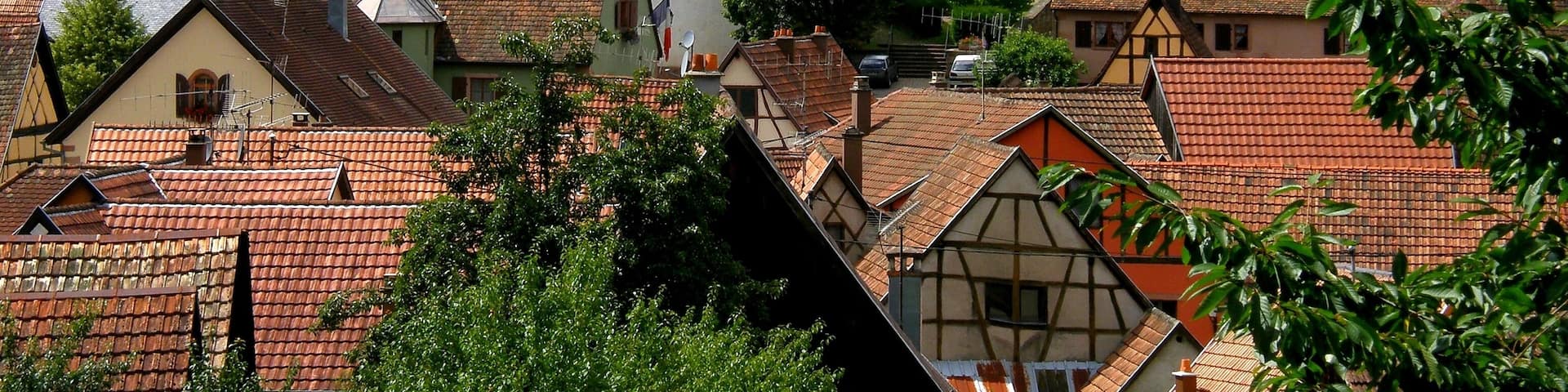 Albé, petit village viticole réputé pour son Pinot Noir. Albé, small wine village renowned for its Black Pinot. Bas-Rhin, Alsace, France.