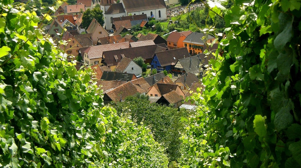 Albé, Bas-Rhin, Alsace, France.