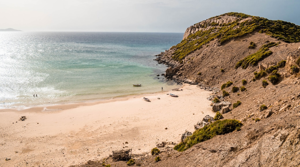 ain't nothing better then taking a walk near the sea