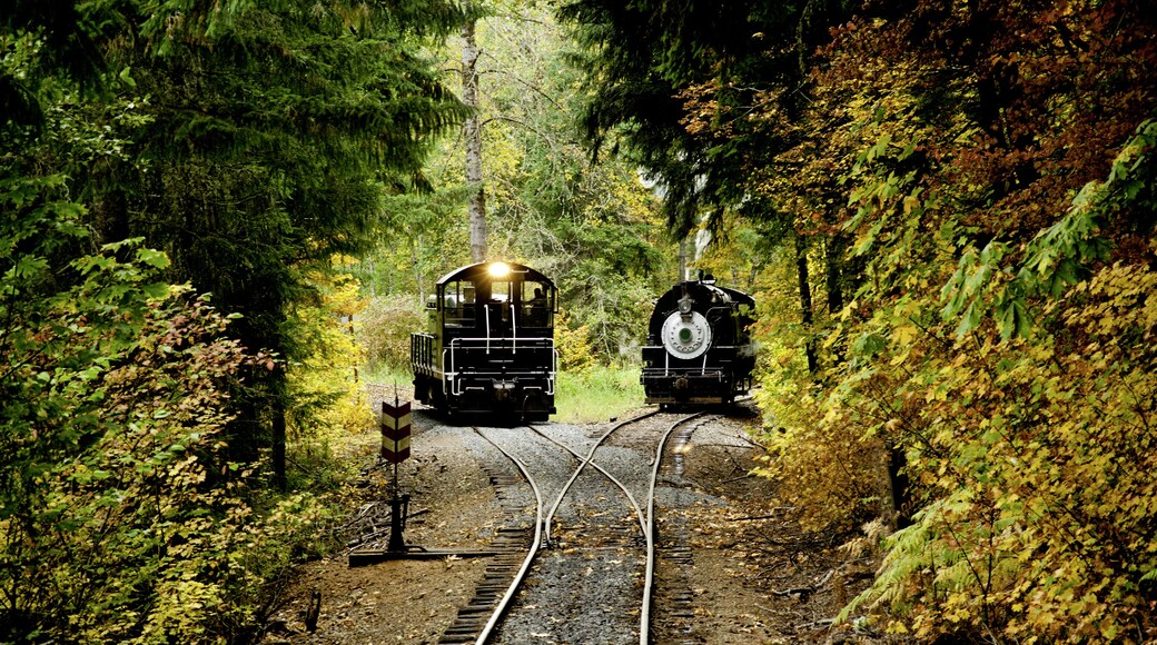 Two train engines, one paused, waiting for the other to move ahead on the single track, among fall foilage near Elma, Washington