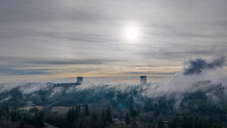 A landscape with two cooling towers, a road, and a forested area.