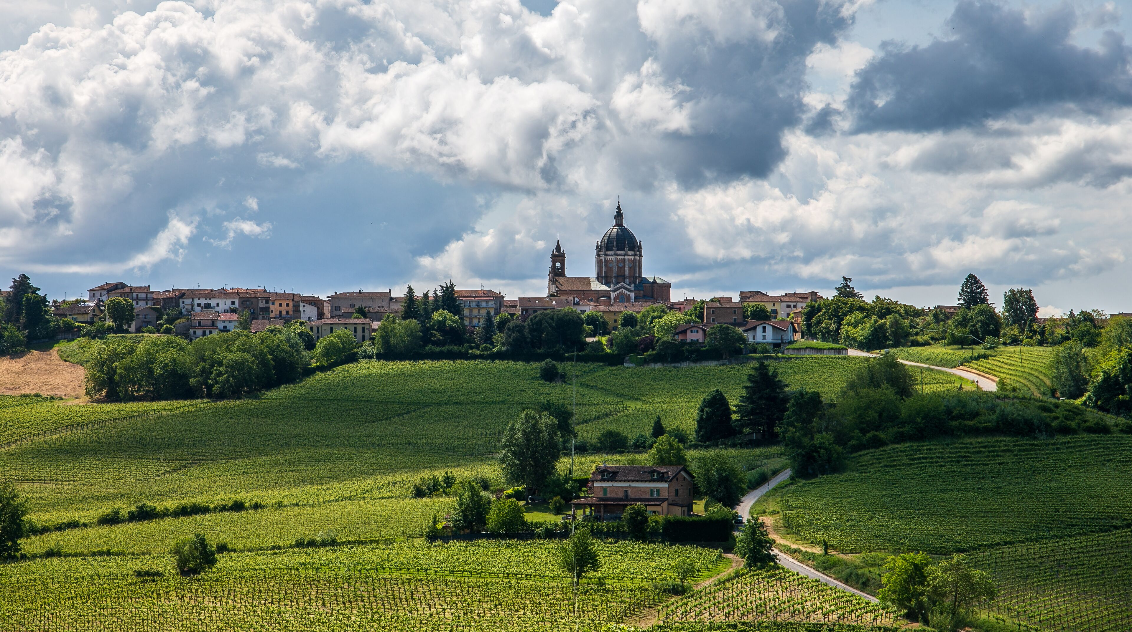 A vineyard landscape with a church and residential buildings.