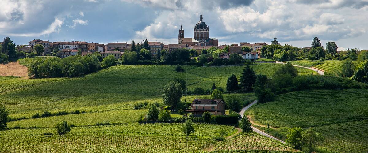 A vineyard landscape with a church and residential buildings.