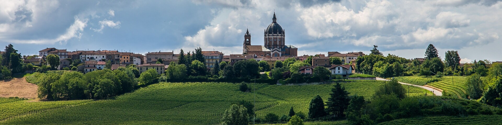 A vineyard landscape with a church and residential buildings.