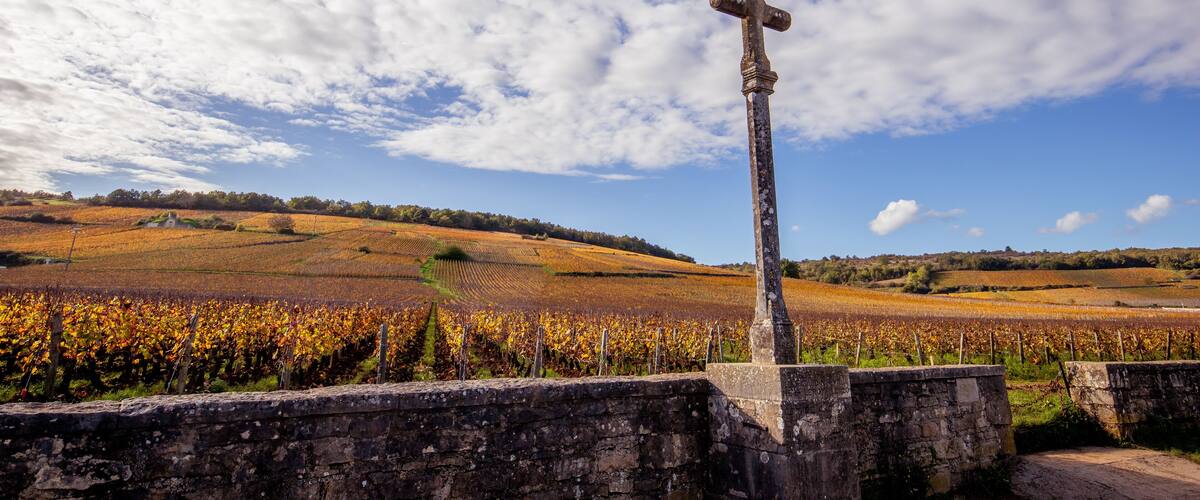 A stone cross in a vineyard under a partly cloudy sky.