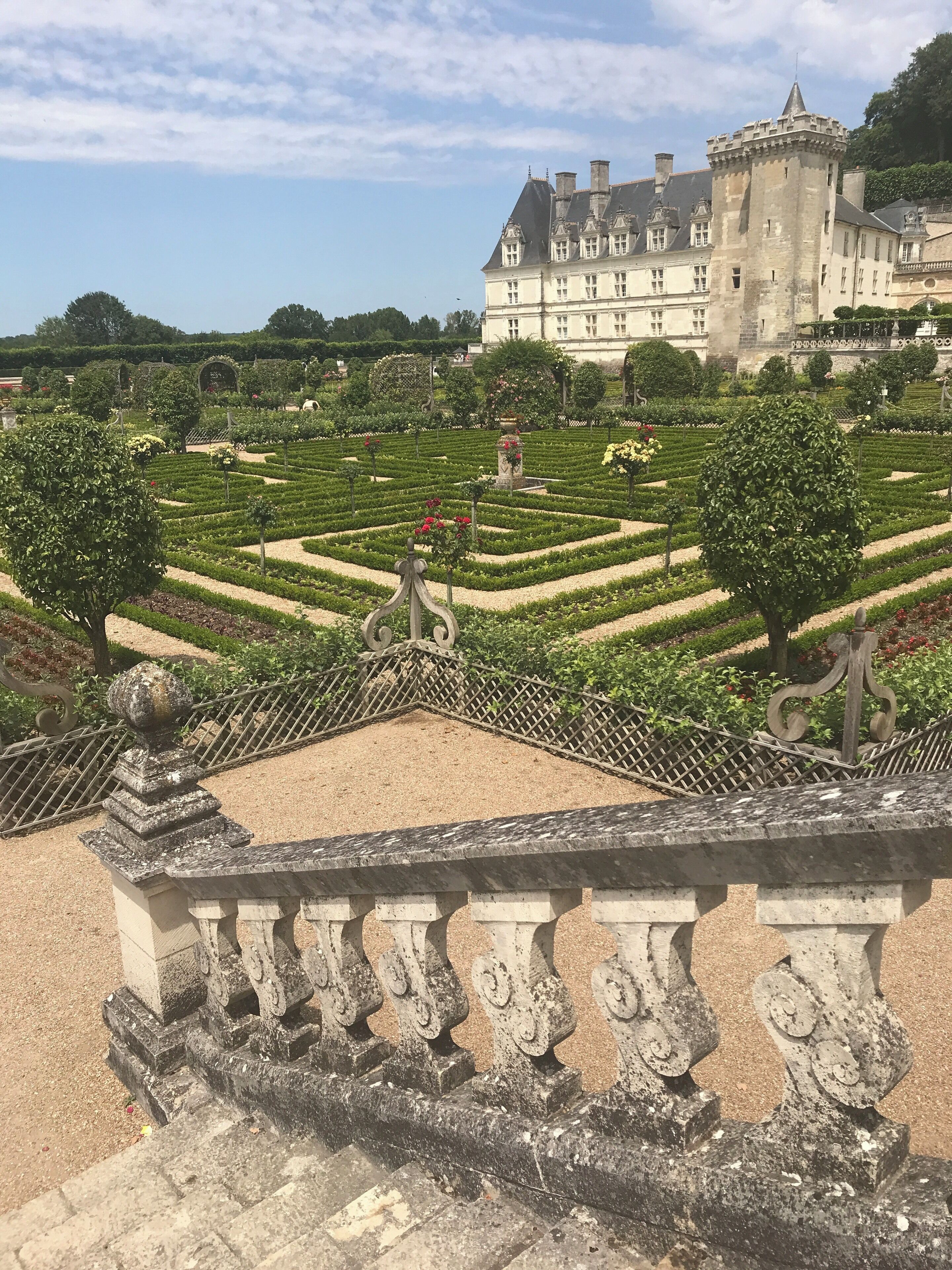 Wonderful gardens at Chateau de Villandry 🇫🇷