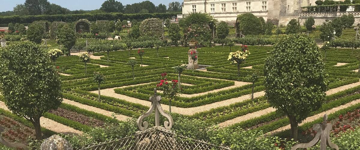 Wonderful gardens at Chateau de Villandry 🇫🇷