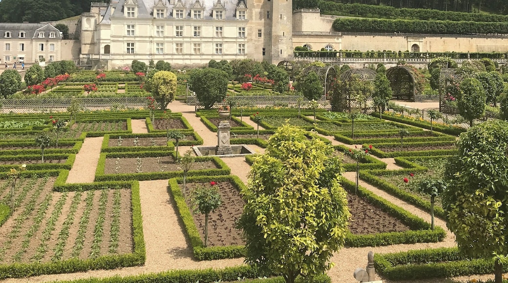 The magnificent gardens & chateau de Villandry 🇫🇷
