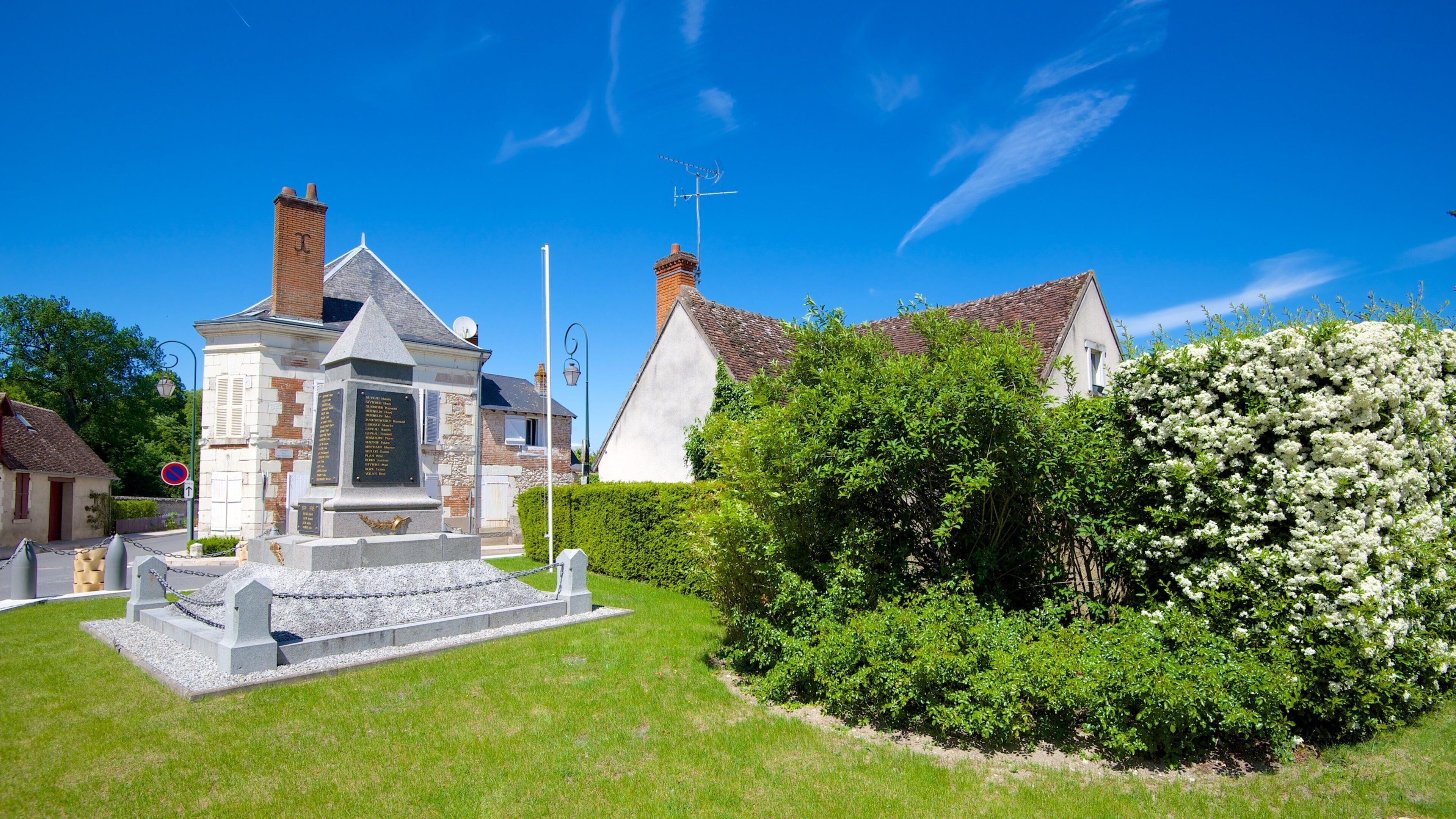 Cheverny que incluye un monumento y un jardín