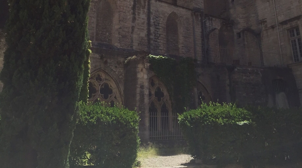 View of the church from inside the university grounds