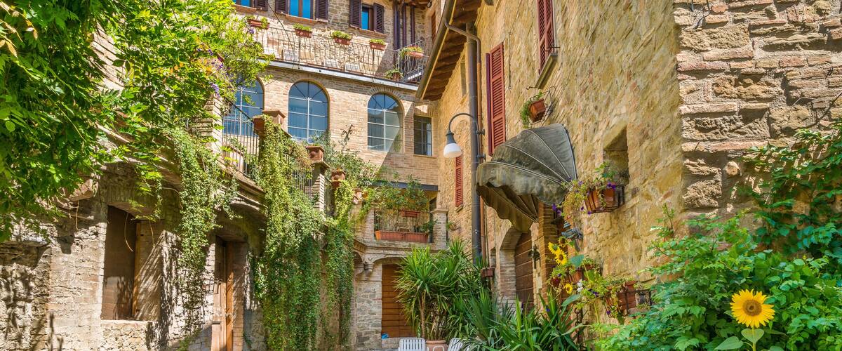 A narrow alley with stone buildings, potted plants, and a sunflower.