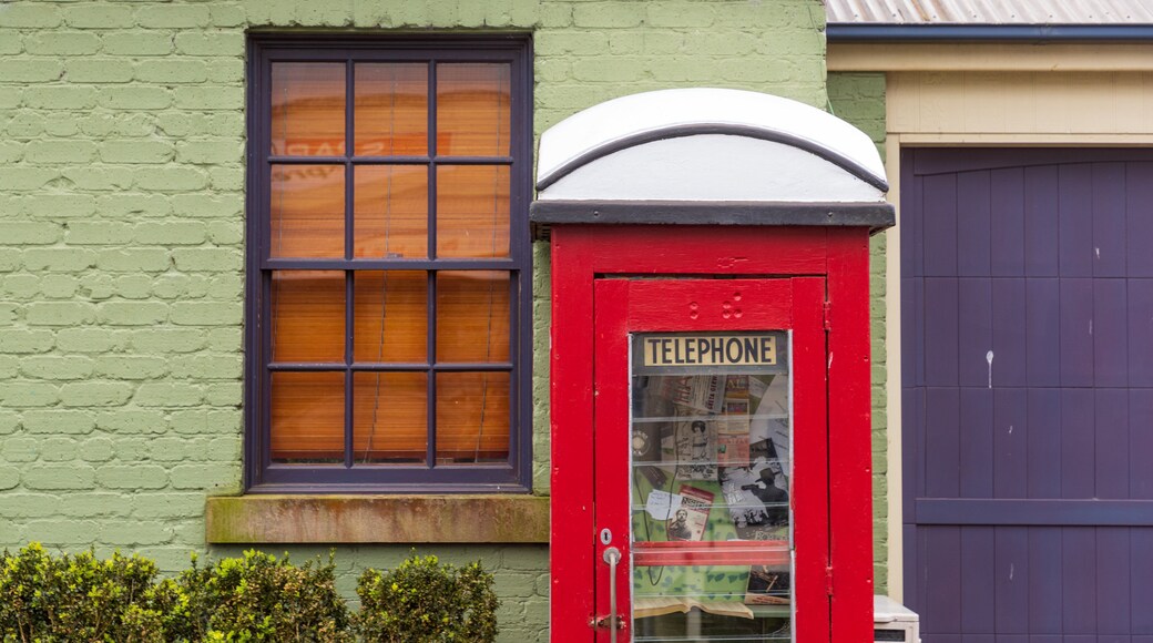 Morpeth featuring heritage elements and signage