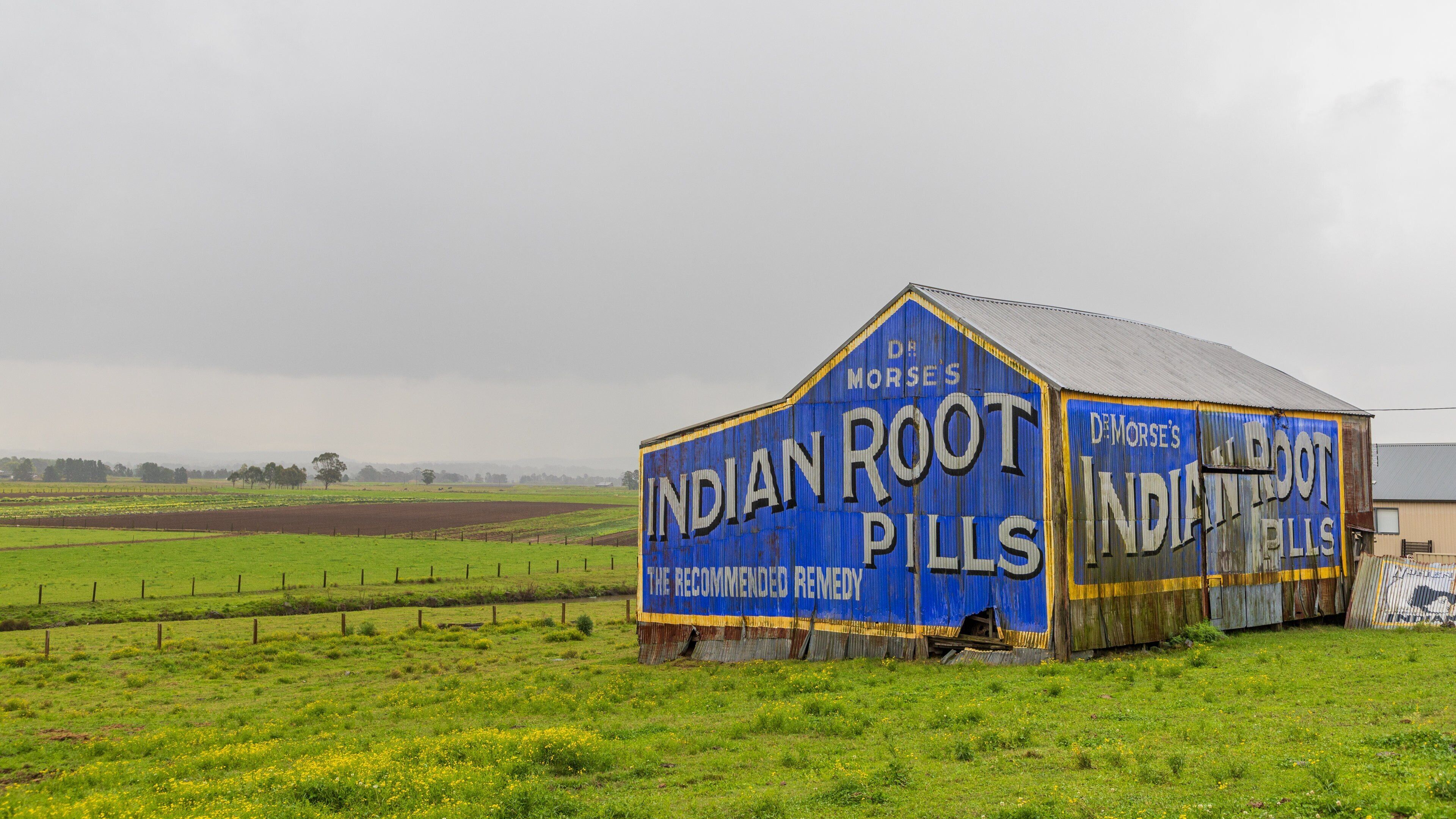 A dilapidated barn with 'Indian Root Pills' written on its side, surrounded by a green field.