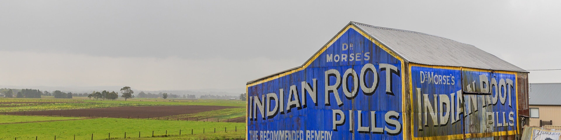 A dilapidated barn with 'Indian Root Pills' written on its side, surrounded by a green field.