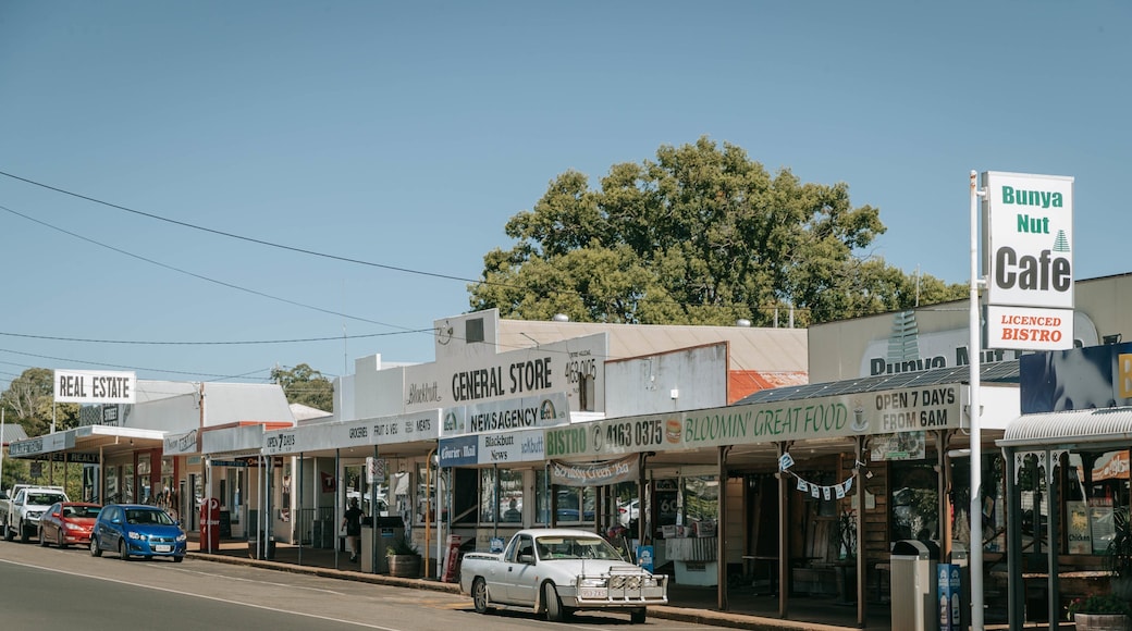 Blackbutt showing a small town or village