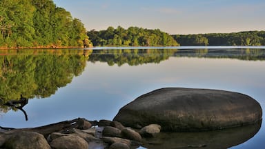 A calm lake with a large rock in the foreground and a forested shoreline in the background.