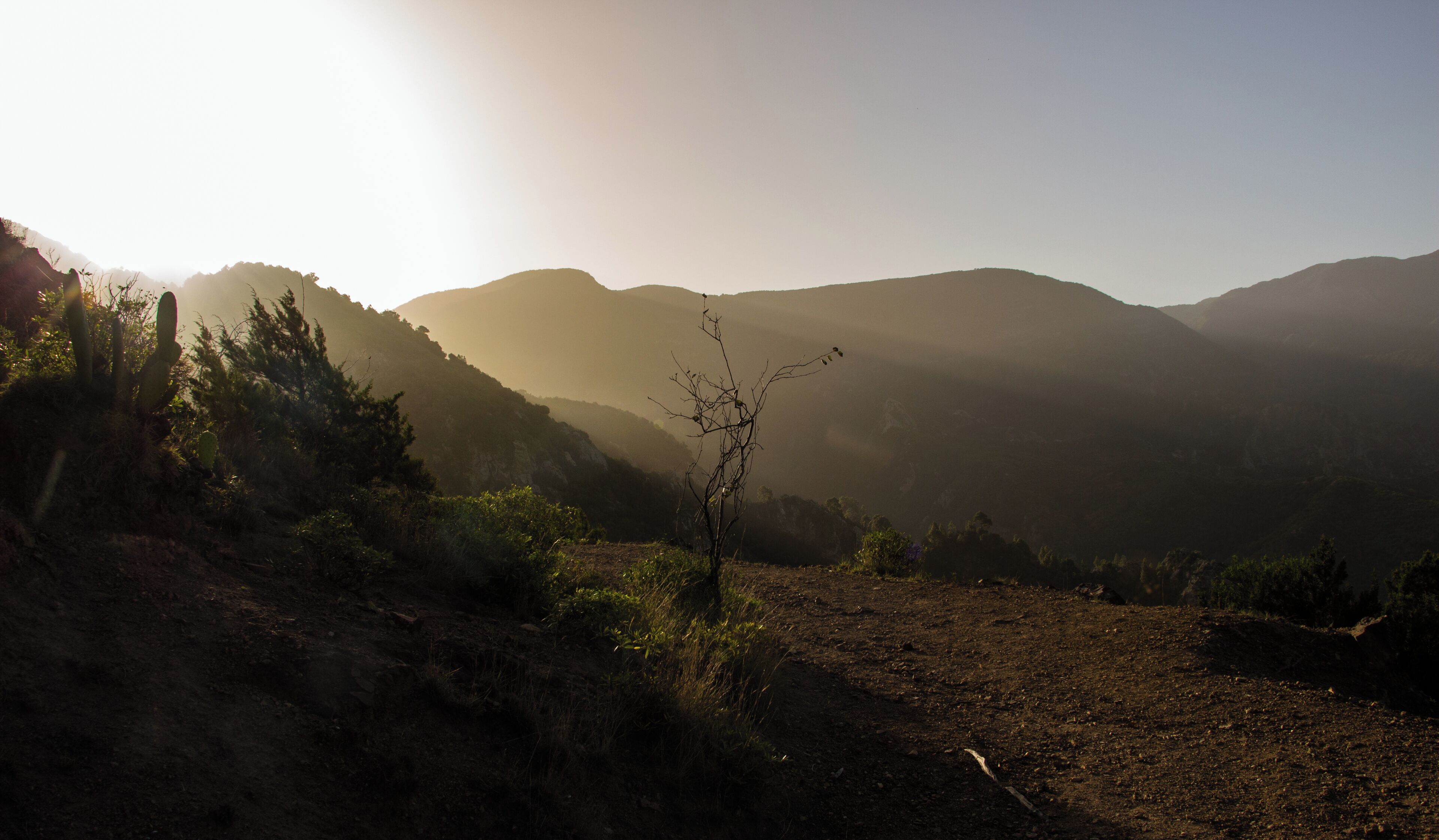 A picture taken during walking GR 132 in La Gomera, Canary Islands, Spain