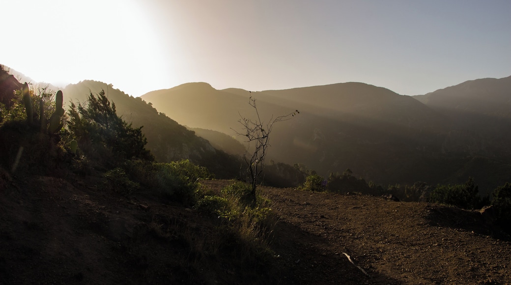 A picture taken during walking GR 132 in La Gomera, Canary Islands, Spain