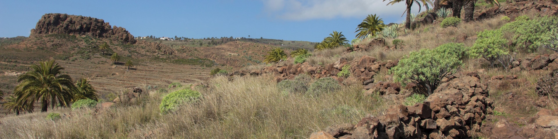 A picture taken during walking GR 132 in La Gomera, Canary Islands, Spain