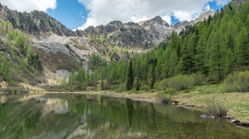 A mountain lake surrounded by dense forests and rocky mountains.