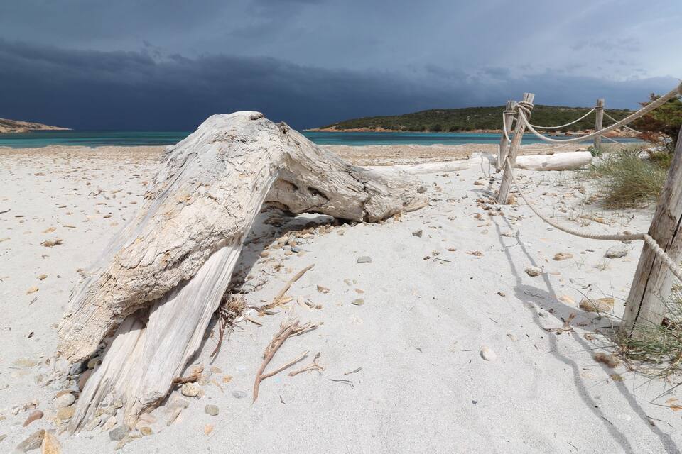 A sandy beach with a large driftwood log and a wooden fence.