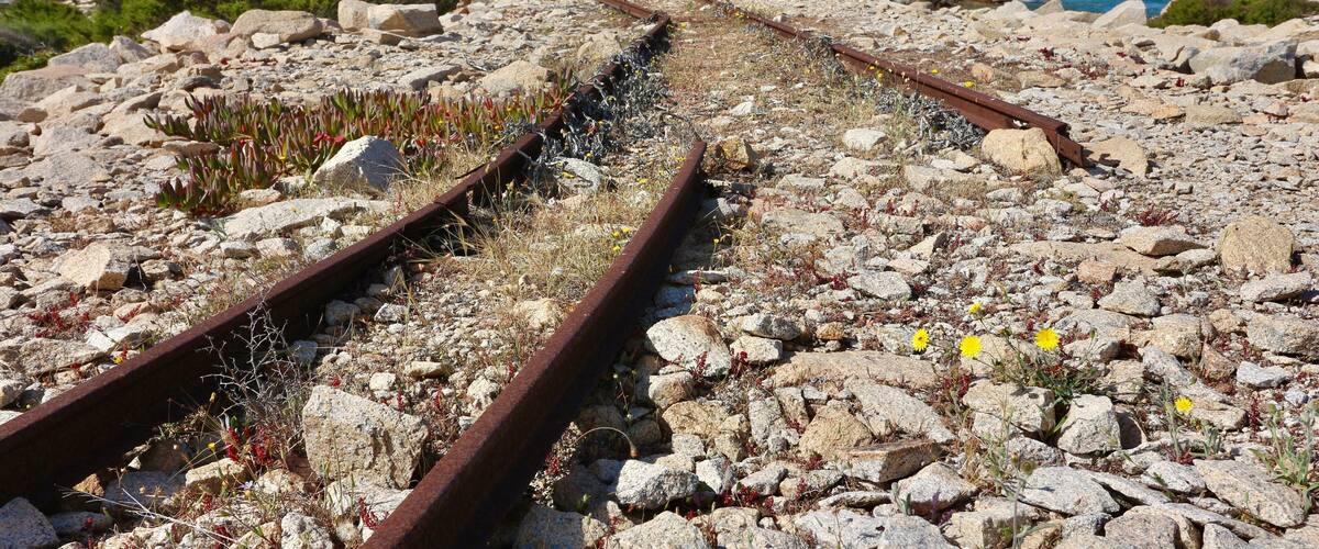 A rocky railway track with yellow flowers and green shrubs.