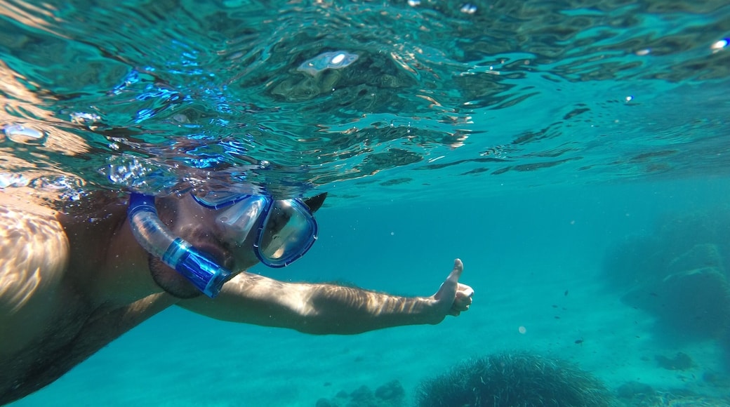 Love #snorkeling #sardinia